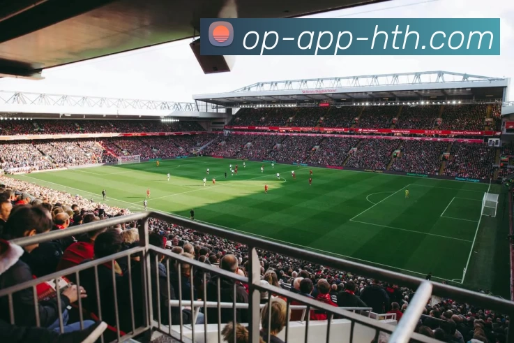 华体会平台生态图